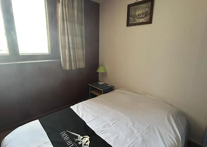 Appartement Spacieux Au Pied Des Pistes - Fr-1-814-21